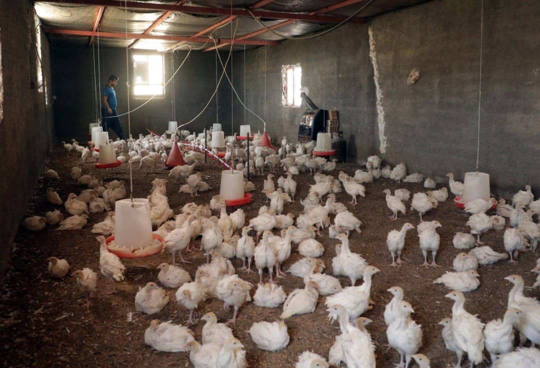 خیر و برکت بنیاد برکت در مهران