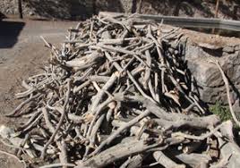 کشف ۲ تن و ۲۵۰ کیلوگرم چوب قاچاق در