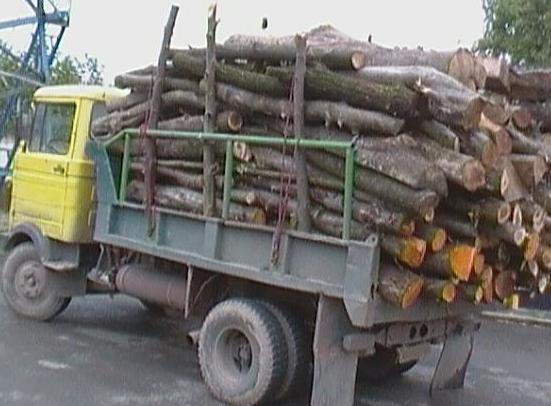 کشف چوب قاچاق در سیاهکل کشف چوب قاچاق در سیاهکل