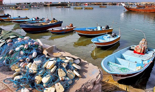 تجهیز بنادر صیادی پارسیان اولویت شیلات هرمزگان