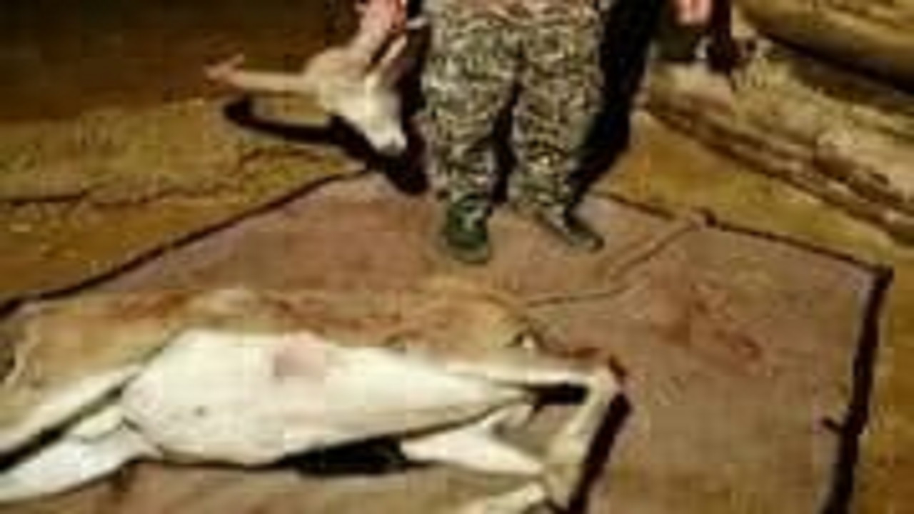 دستگیری شکارچی متخلف در شهرستان آوج دستگیری شکارچی متخلف در شهرستان آوج