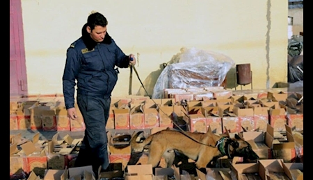 کشف محموله ۴۵ میلیون دلاری هرویین در ارمنستان