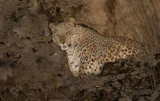 پارک ملی تندوره و زیبایی‌های بکر آن