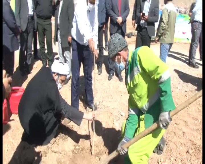 کاشت 800 اصله نهال زینتی و مثمر بومی در تیران و کرون کاشت 800 اصله نهال زینتی و مثمر بومی در تیران و کرون