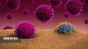 شناسایی 72 بیمار جدید مبتلا به کرونا در کردستان