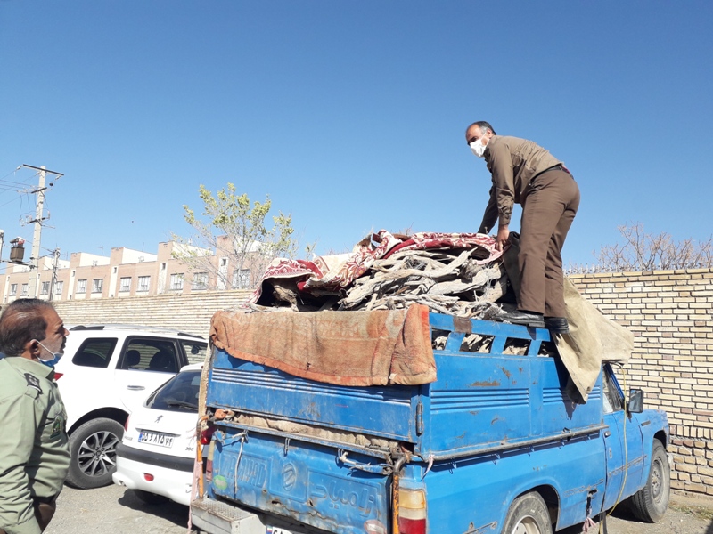 توقیف محموله قاچاق چوب تاغ دربردسکن