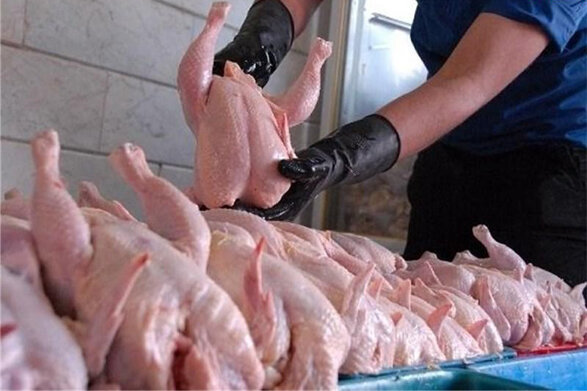 راه اندازی اتحادیه کنترل عرضه ی گوشت مرغ در بازار راه اندازی اتحادیه کنترل عرضه ی گوشت مرغ در بازار
