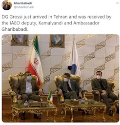 مدیر کل آژانس بین‌المللی وارد تهران شد