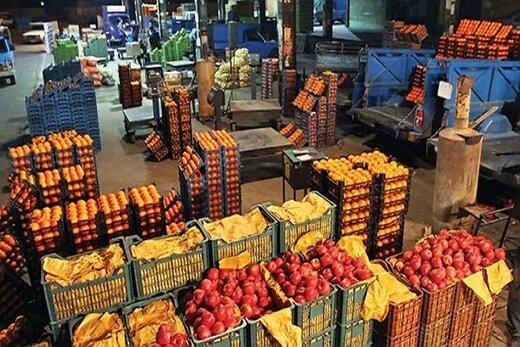 موافقت با واردات میوه از طریق تجار، تعاونی‌ها و بازارچه‌های مرزی