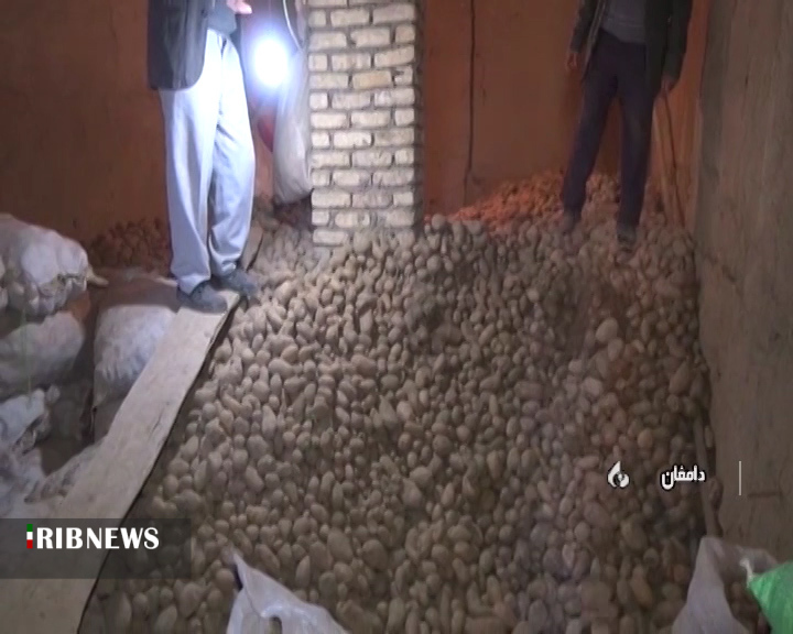 سیب زمینی سیب زمینی