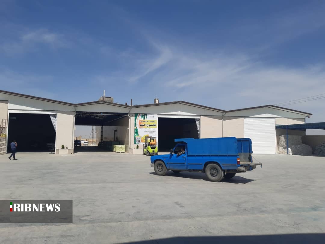 گنجهای گلخانهای در دل کویر یزد گنجهای گلخانهای در دل کویر یزد