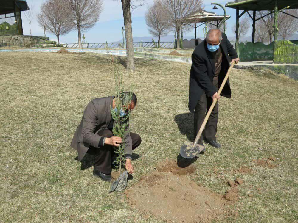 اجرای طرح اجرای طرح