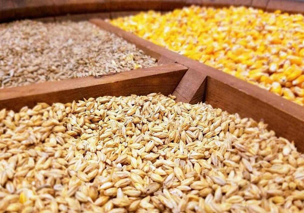 داستان بلندپروازیهای قیمت مرغ داستان بلندپروازیهای قیمت مرغ