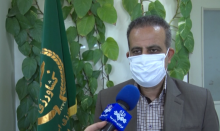 کاهش ۳۰ درصدی میزان برداشت گندم در استان بوشهر