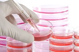 افتتاح مرکز پذیره‌نویسی اهداکنندگان سلول‌های بنیادی خونساز