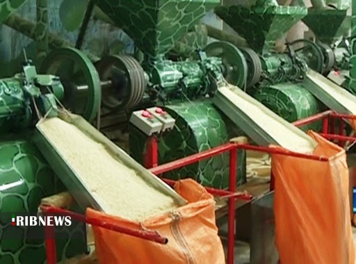 سرمایه‌هایی که زیر بار فرسودگی شالیکوبی‌ها خرد می‌شود.