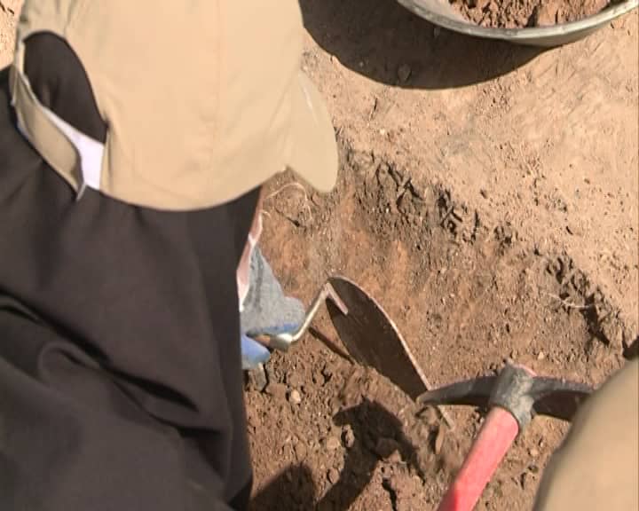 نیمه تپه نیمه جان باستانی