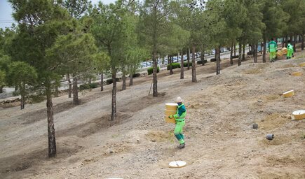 تصویب ۵۳ هکتار جنگلکاری در آلودهترین نقطه اصفهان تصویب ۵۳ هکتار جنگلکاری در آلودهترین نقطه اصفهان