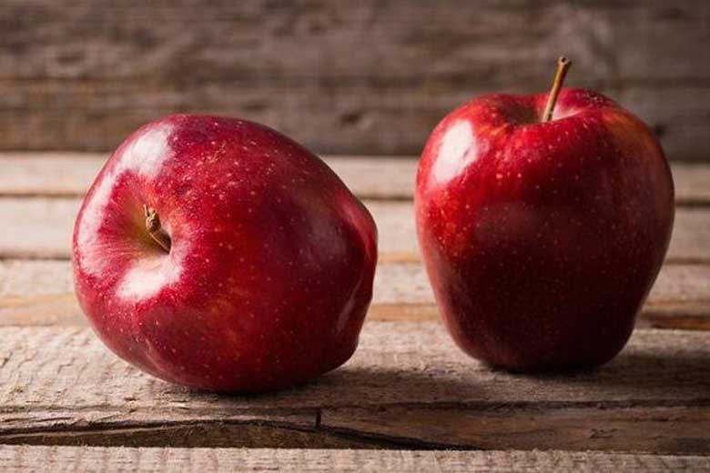 کدام مواد غذایی علائم زخم معده را کاهش میدهند؟ کدام مواد غذایی علائم زخم معده را کاهش میدهند؟