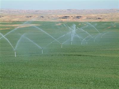 تحول اساسی در کشاورزی استان ایلام با ایجاد طرحهای نوین تحول اساسی در کشاورزی استان ایلام با ایجاد طرحهای نوین