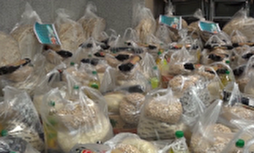 کمک مومنانه در محلات کمک مومنانه در محلات