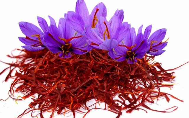 کاهش صادرات زعفران کاهش صادرات زعفران