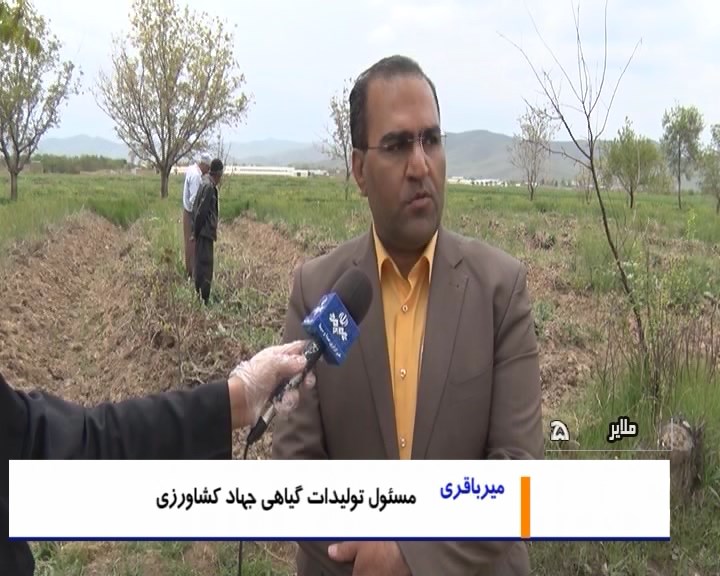 آغاز باغ اسپار تاکستان‌های شهر جهانی انگور