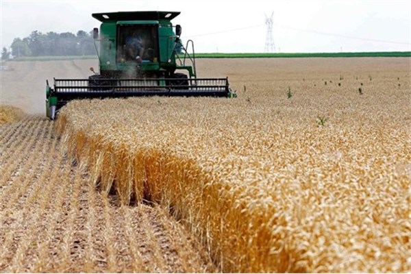 خرید بیش از 100 هزار تن گندم از کشاورزان
