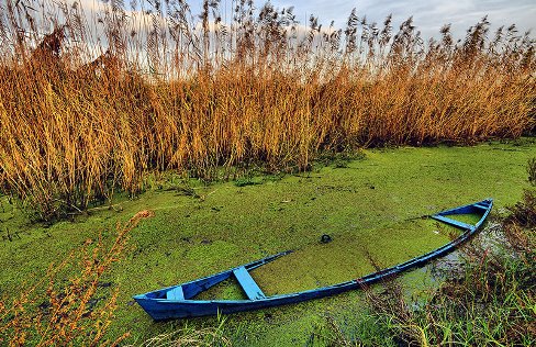 تالابی که آب می&zwnj;رود