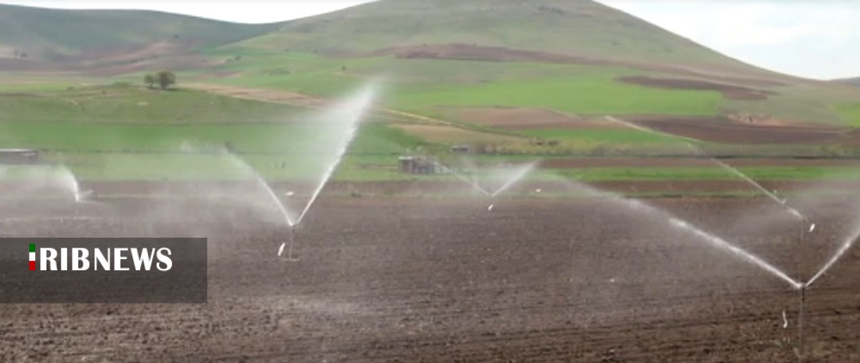 کشت چغندر قند در شهرستان سقز ادامه دارد