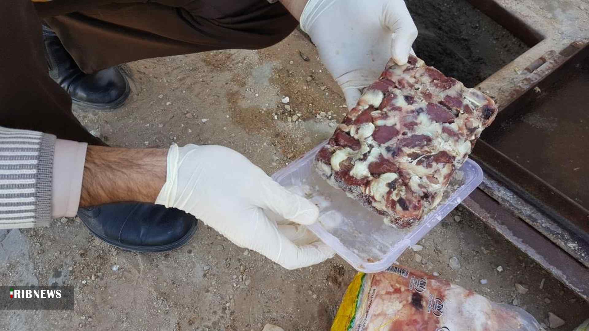 معدوم کردن ۱۲ تن فرآورده خام دامی غیر قابل مصرف معدوم کردن ۱۲ تن فرآورده خام دامی غیر قابل مصرف