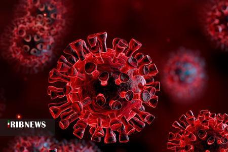 افزوده شدن 70 بیمار کرونایی در کردستان افزوده شدن 70 بیمار کرونایی در کردستان