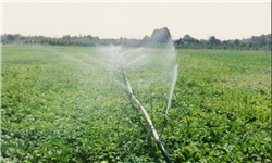 کشت یونجه در اراضی دیم کم بازده استان مرکزی کشت یونجه در اراضی دیم کم بازده استان مرکزی