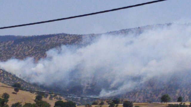 مهار آتش در جنگل‌ها و مراتع 