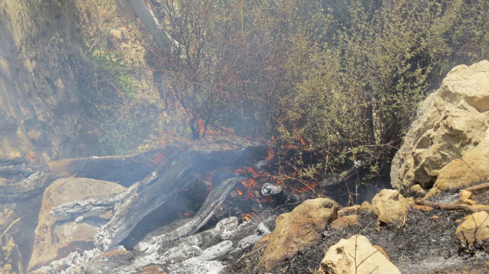 آتش سوزی در ارتفاعات پیچاب باشت آتش سوزی در ارتفاعات پیچاب باشت