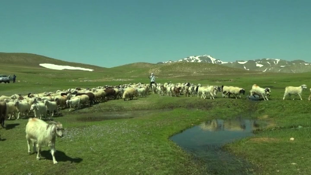 حال وهوای  منطقه عشایری تخت سرتَشتَک رابُر