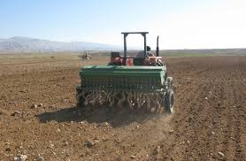 کشت نخود اصلاح شده در خراسان شمالی کشت نخود اصلاح شده در خراسان شمالی