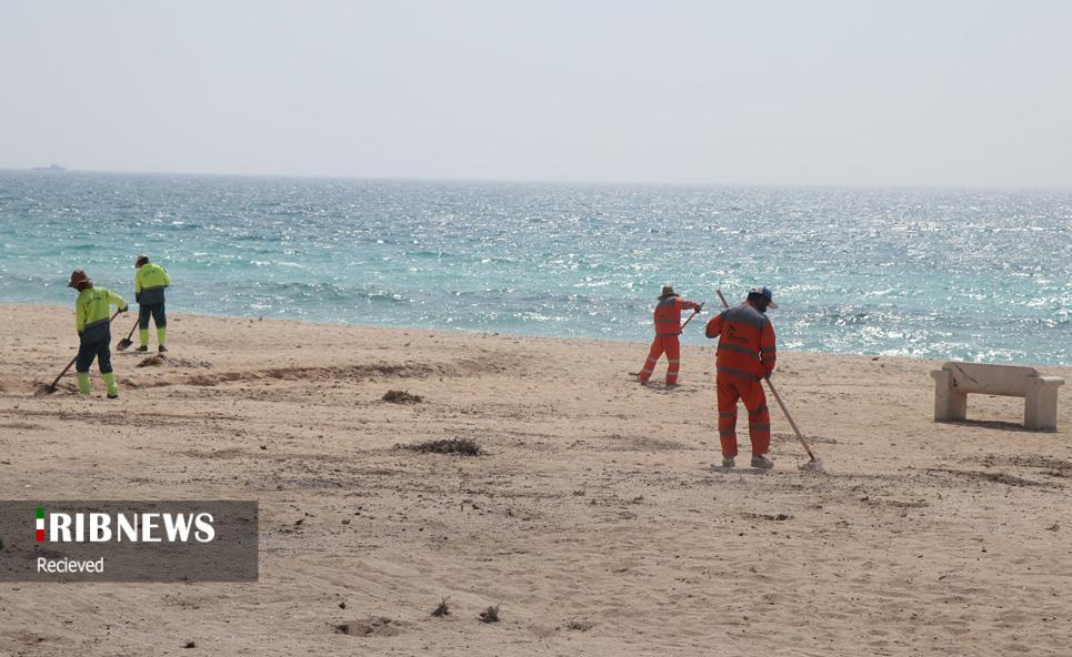 اجرای طرح پاک سازی سواحل کیش اجرای طرح پاک سازی سواحل کیش