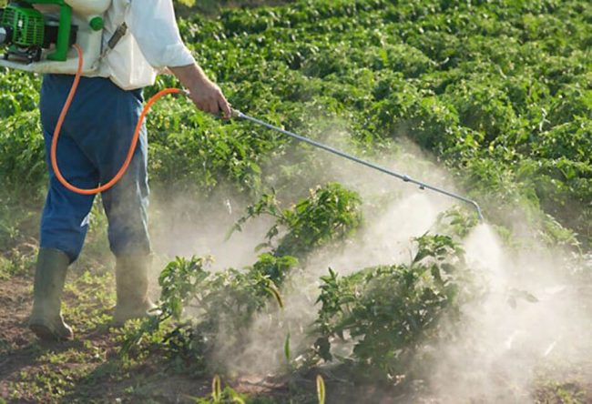 افزایش بی رویه استفاده از سموم کشاورزی  افزایش بی رویه استفاده از سموم کشاورزی