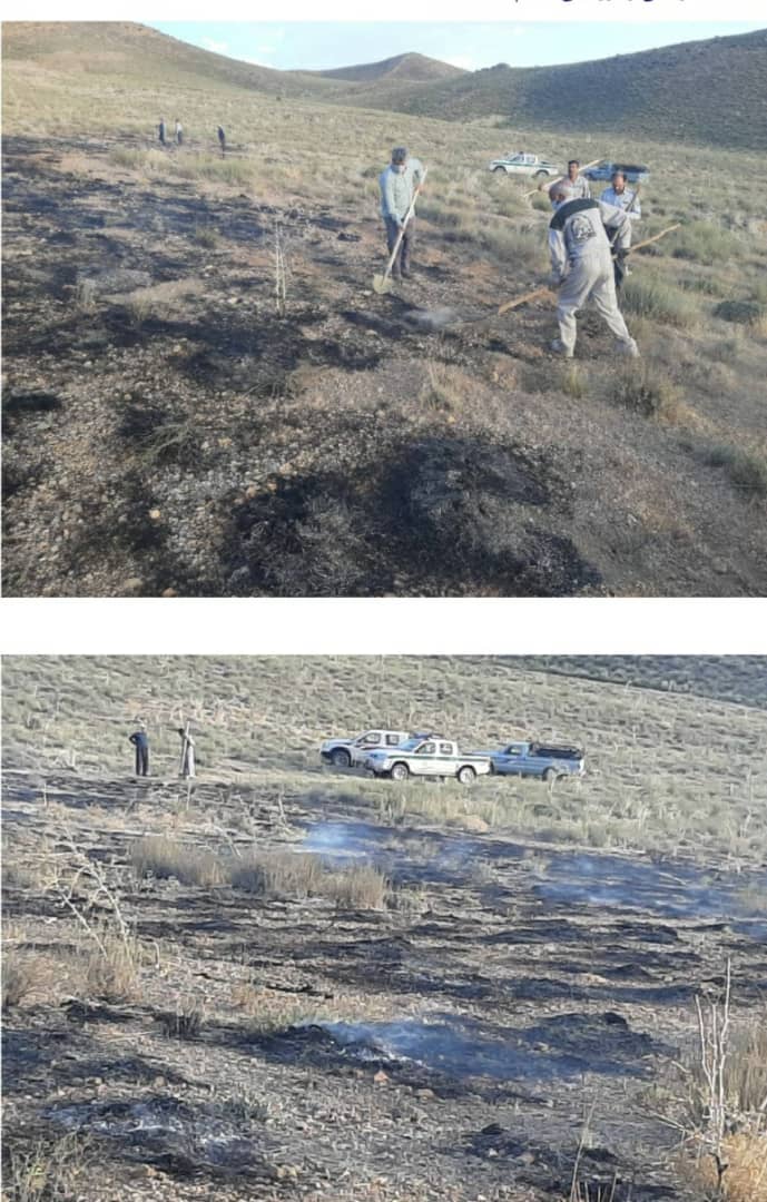 در کوتاه‌ترین زمان ممکن