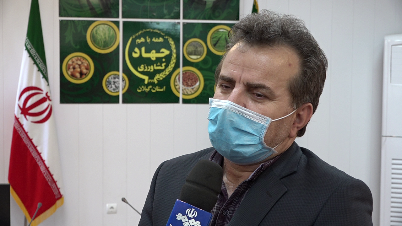 آماده سازی شالیکوبی های گیلان برای تولید برنج تازه آماده سازی شالیکوبی های گیلان برای تولید برنج تازه