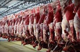 تولید هزار و 800 میلیاردی گوشت قرمز در در بابل