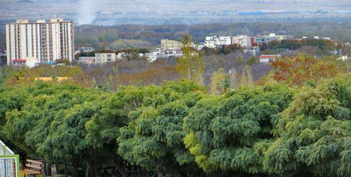 صیانت از باغات تهران باید با حفظ حقوق مالکانه و ایجاد انگیزه همراه باشد