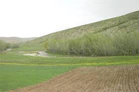 برخورد قاطع دستگاه قضا با تخریب کنندگان اراضی ملی برخورد قاطع دستگاه قضا با تخریب کنندگان اراضی ملی