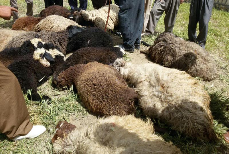 خسارت صاعقه و سیلاب در مشگین شهر