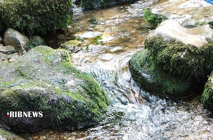 گزارش مکتوب ؛ چشمه های تشنه ساماندهی