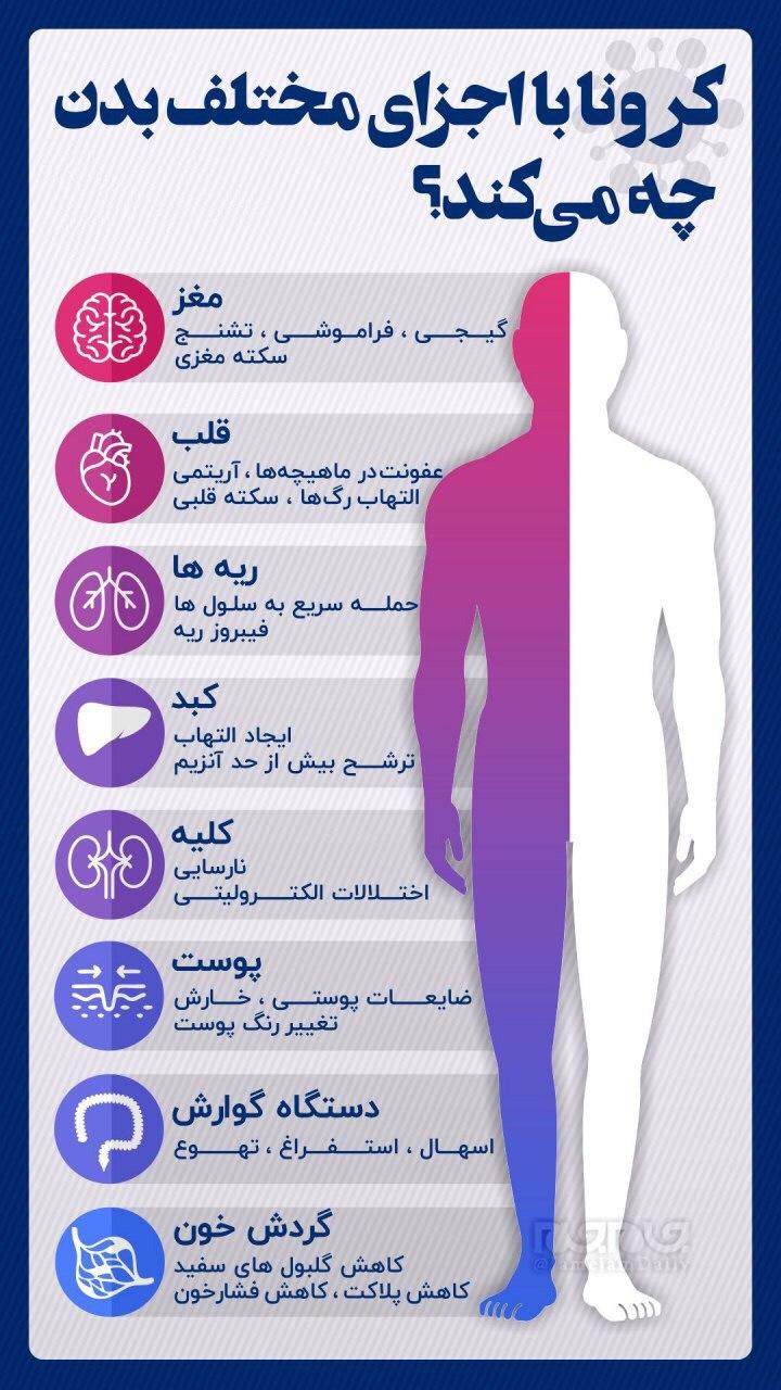 کرونا با اجزای مختلف بدن چه می‎کند؟