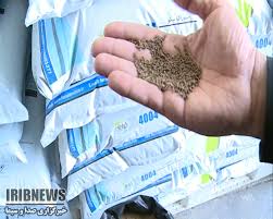 گزارش مکتوب: بام ایران بر بلندای بام تولید خوراک آبزیان کشور