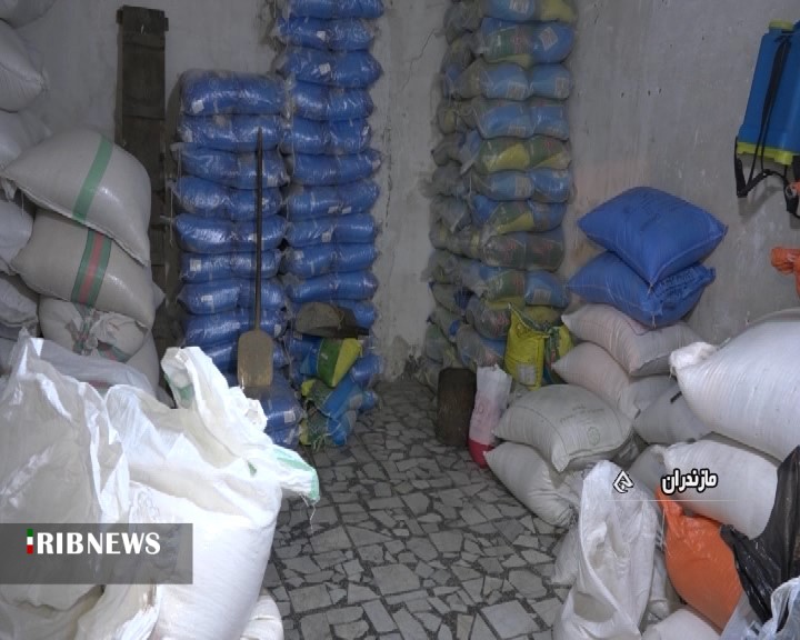 برنج شمال در سایه اختلاط ضربه فنی می‌شود