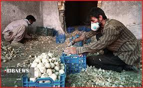 رونق تولید و اشتغال با 